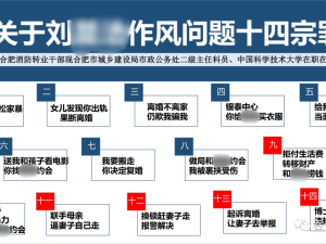 女子53页PPT举报公务员前夫14宗罪的瓜