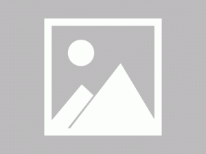 2023年度五十大喜感新闻，第一条开始笑哈哈哈哈